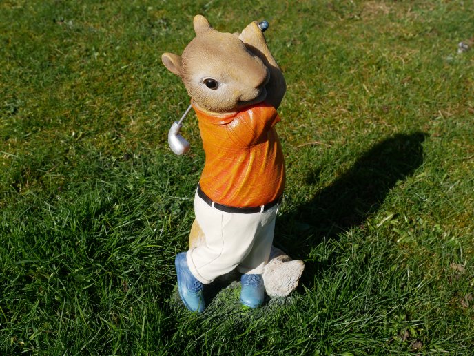 Squirrel Golfer