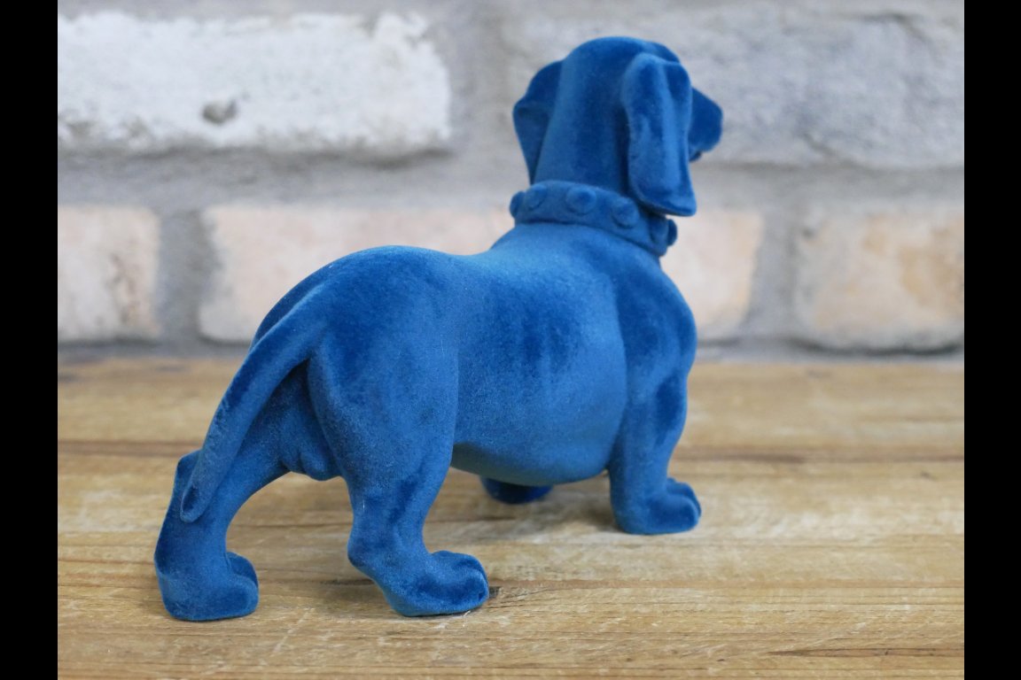 Blue Dachshund Dog