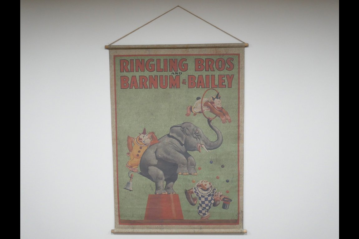 Canvas Wall Art - Monkey Clowns