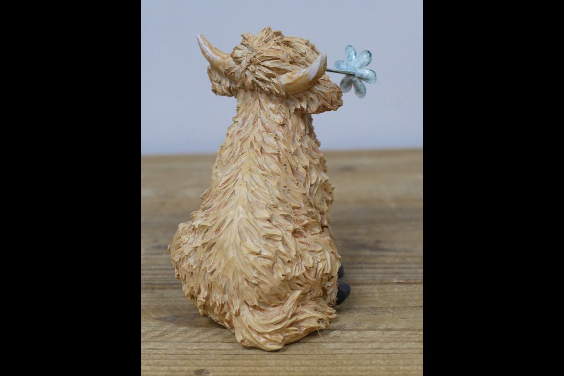 Highland Cow With Flower In Mouth