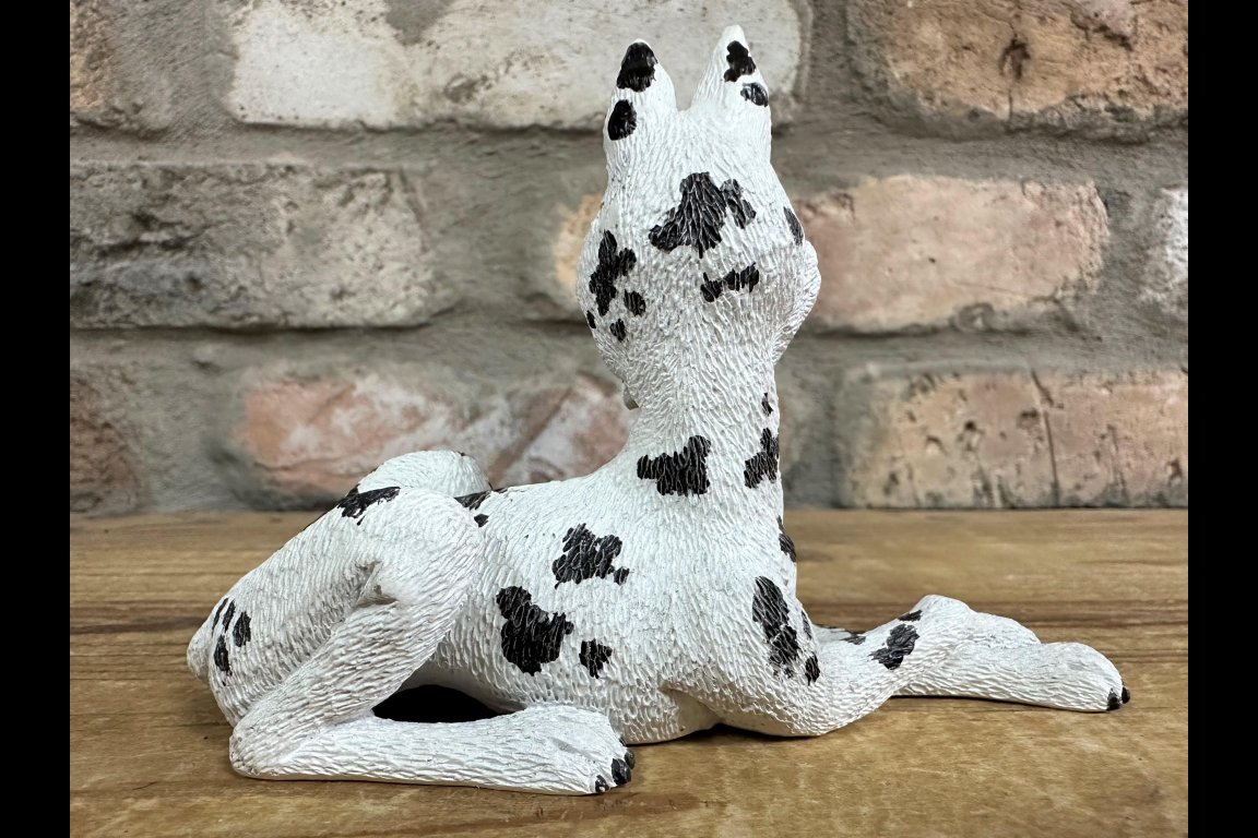 Dalmatian