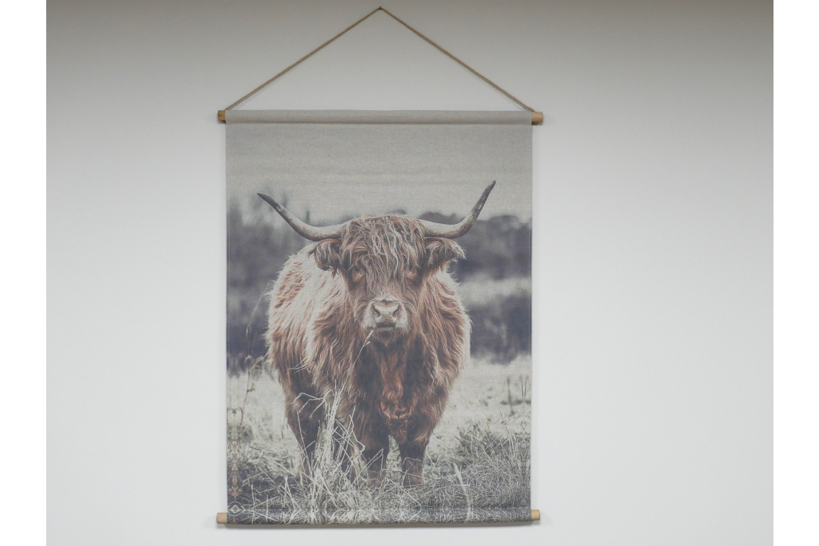 Wall Art - Highland Cow