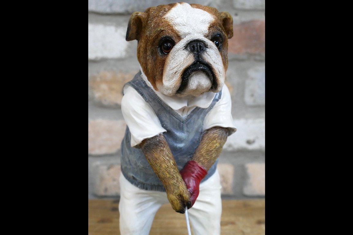Bulldog Golfer