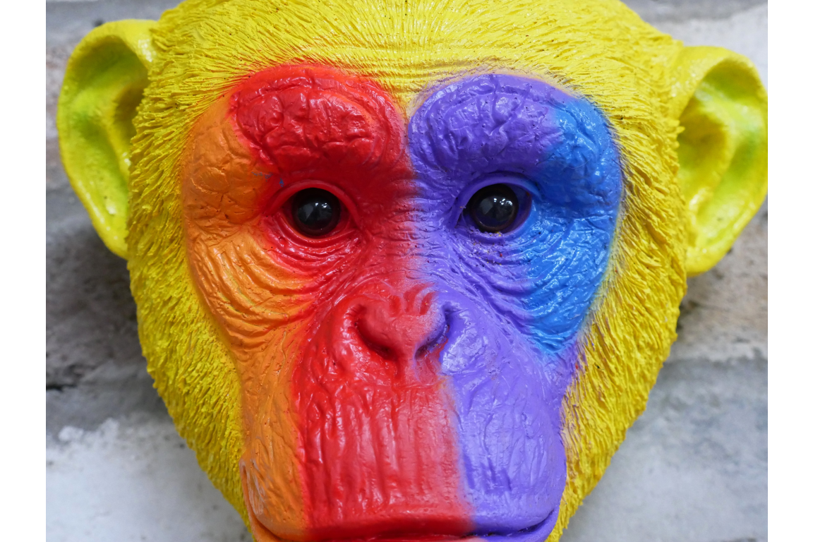 Rainbow Monkey Head