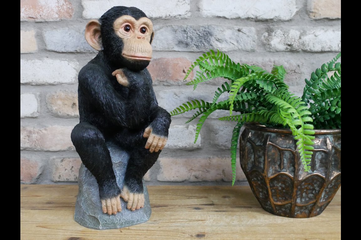 Monkey Thinking