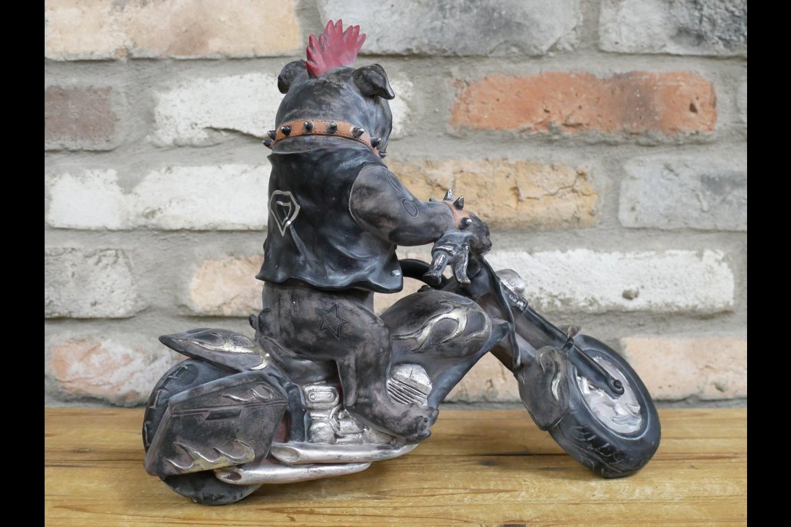 Bulldog On Motorbike