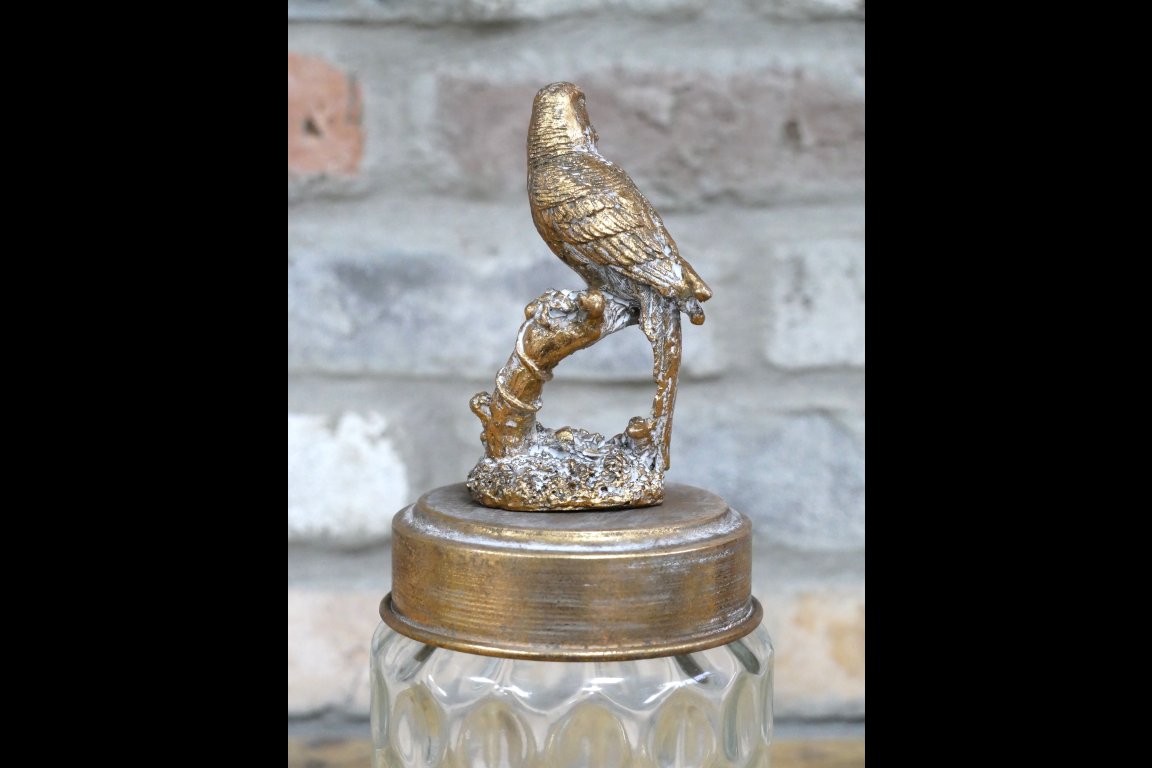 Bird Jar