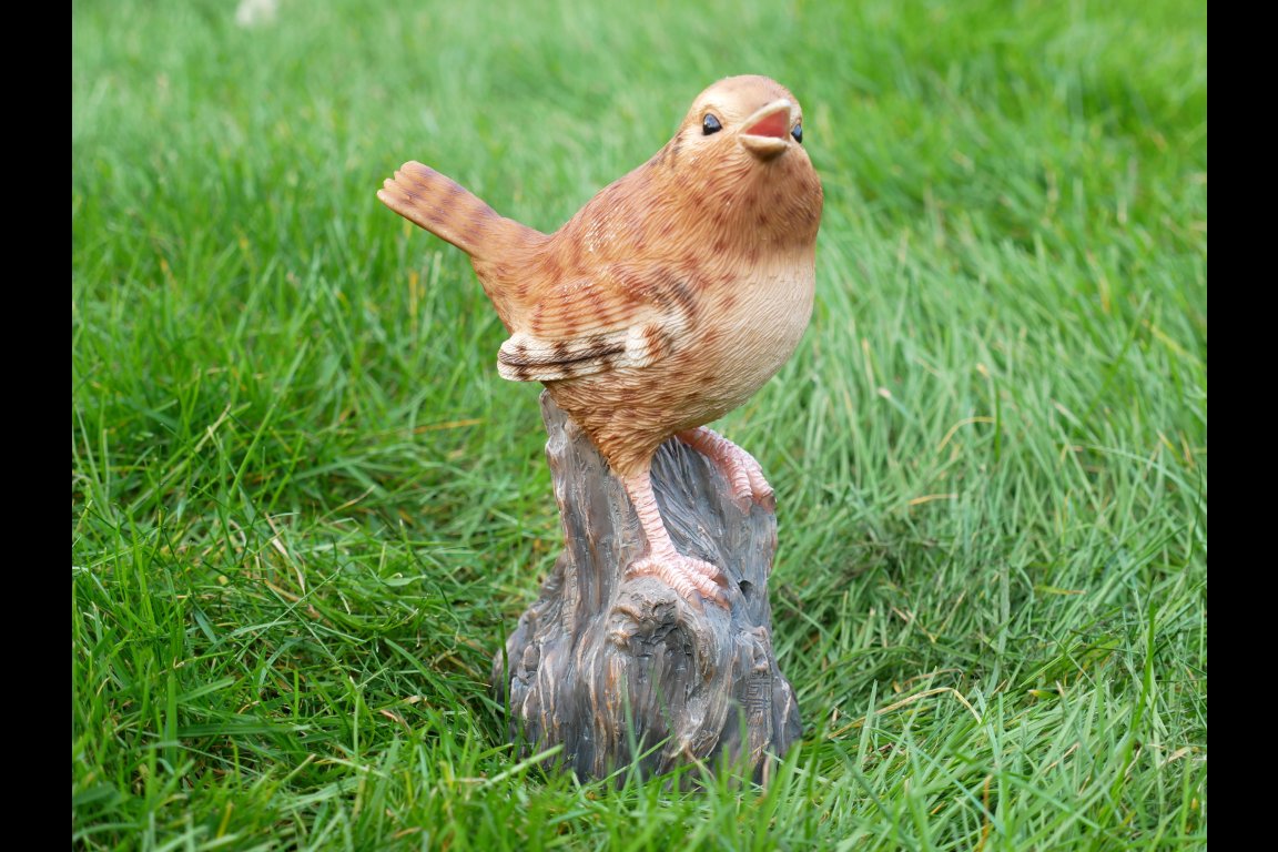 Tweeting Bird