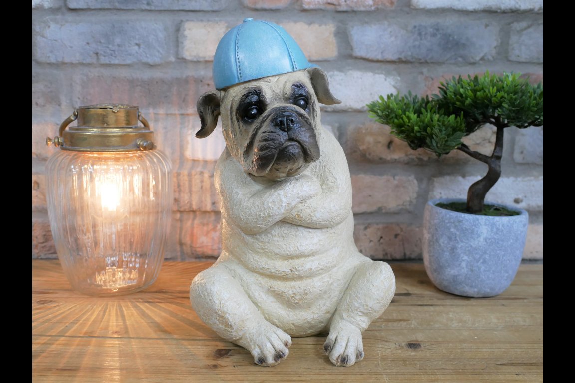 Arms Crossed Bulldog