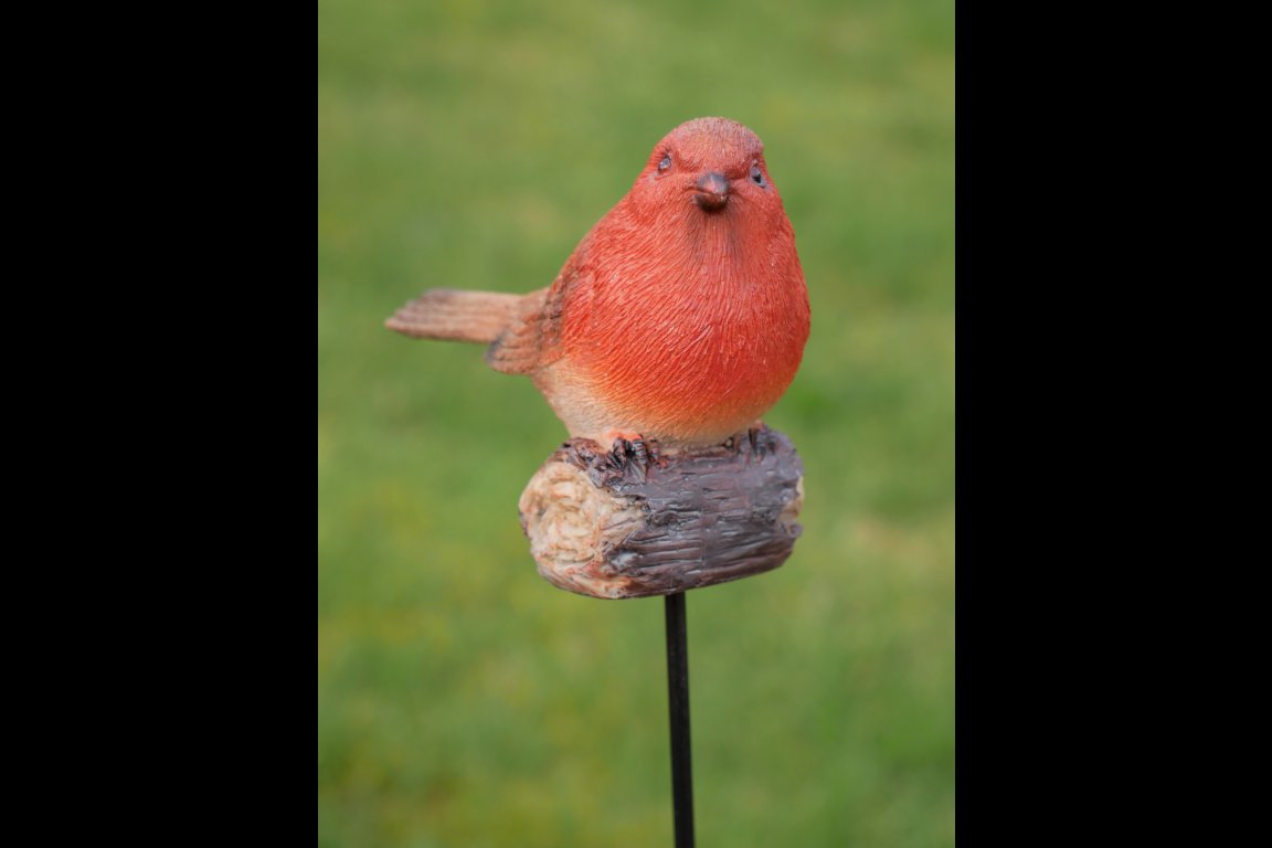 Robin On Stake