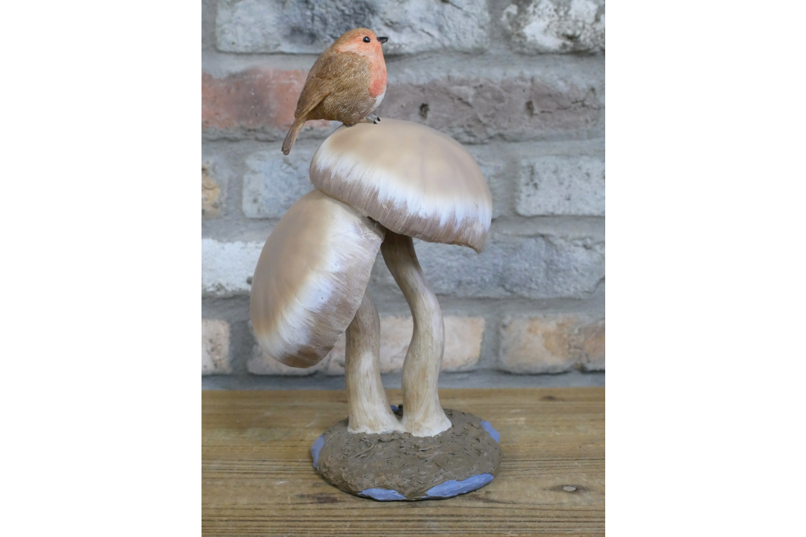 Robin On Top Of Mushrooms