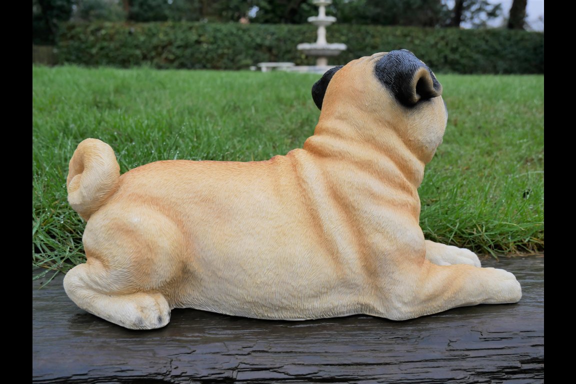 Laying Dog