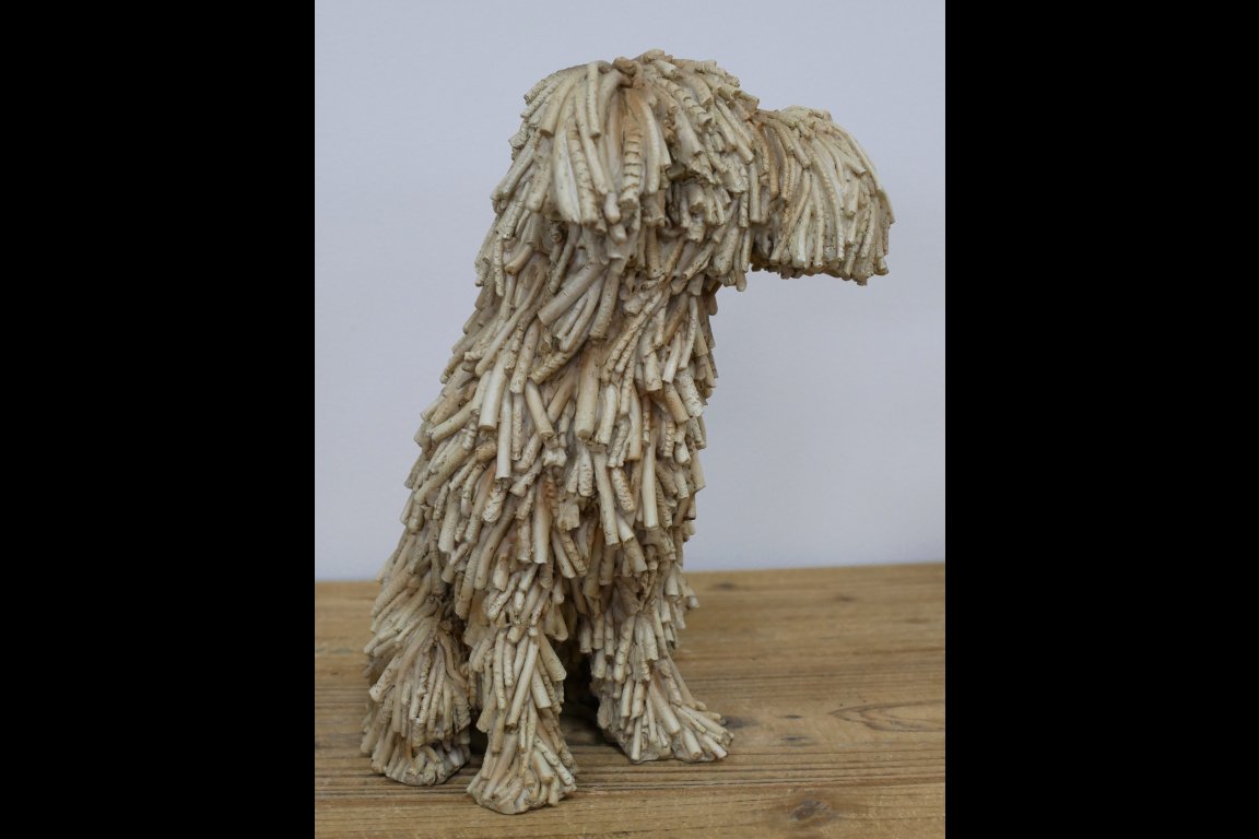 Sitting Shaggy Dog