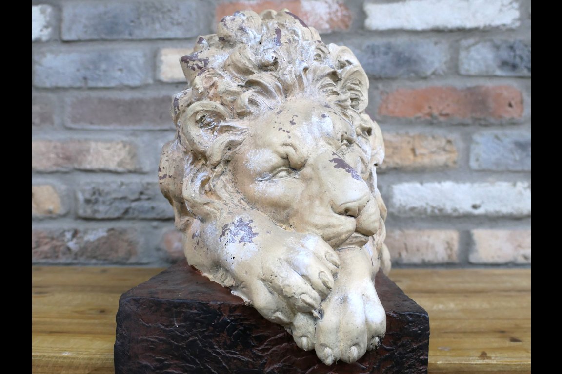 Sleeping Lion