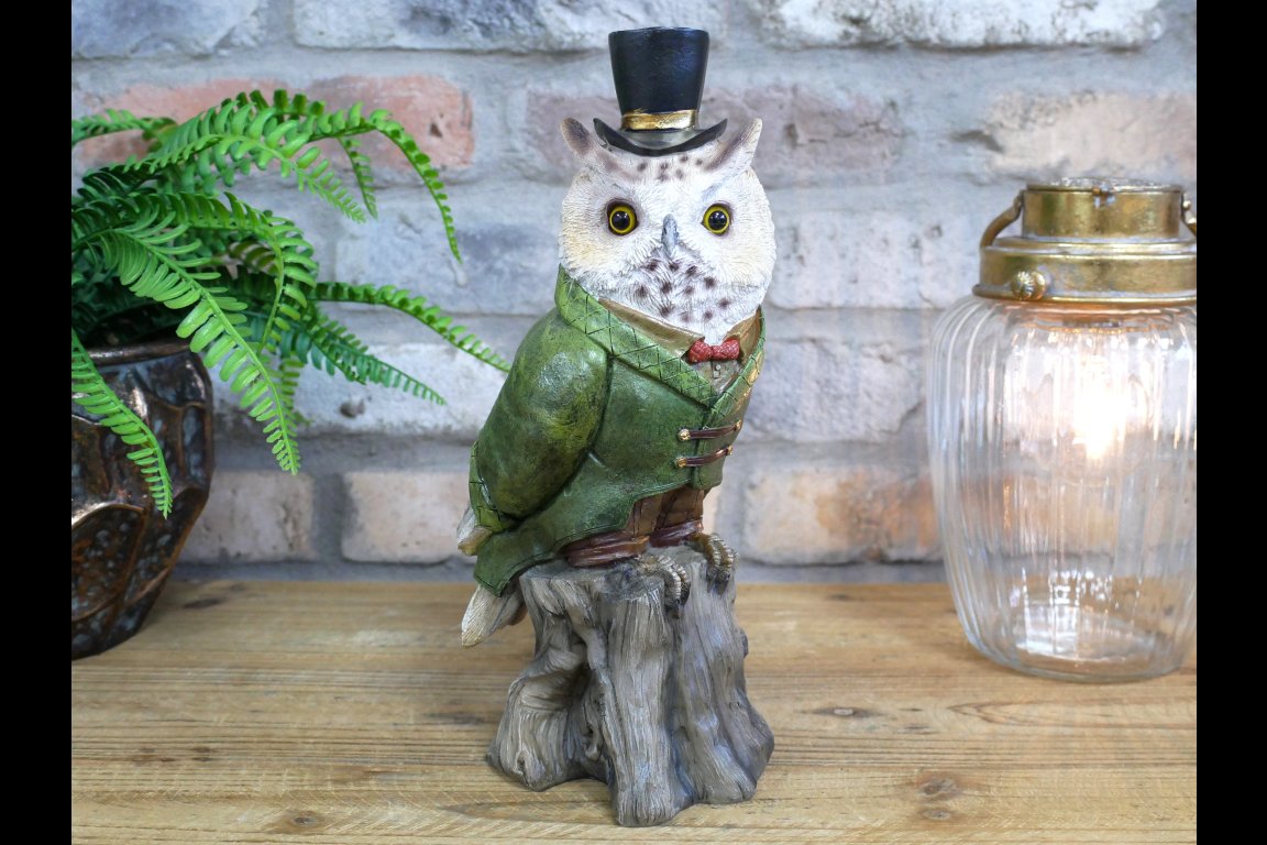 Owl In Suit