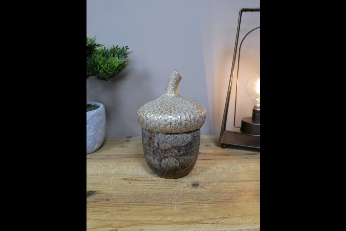 Acorn