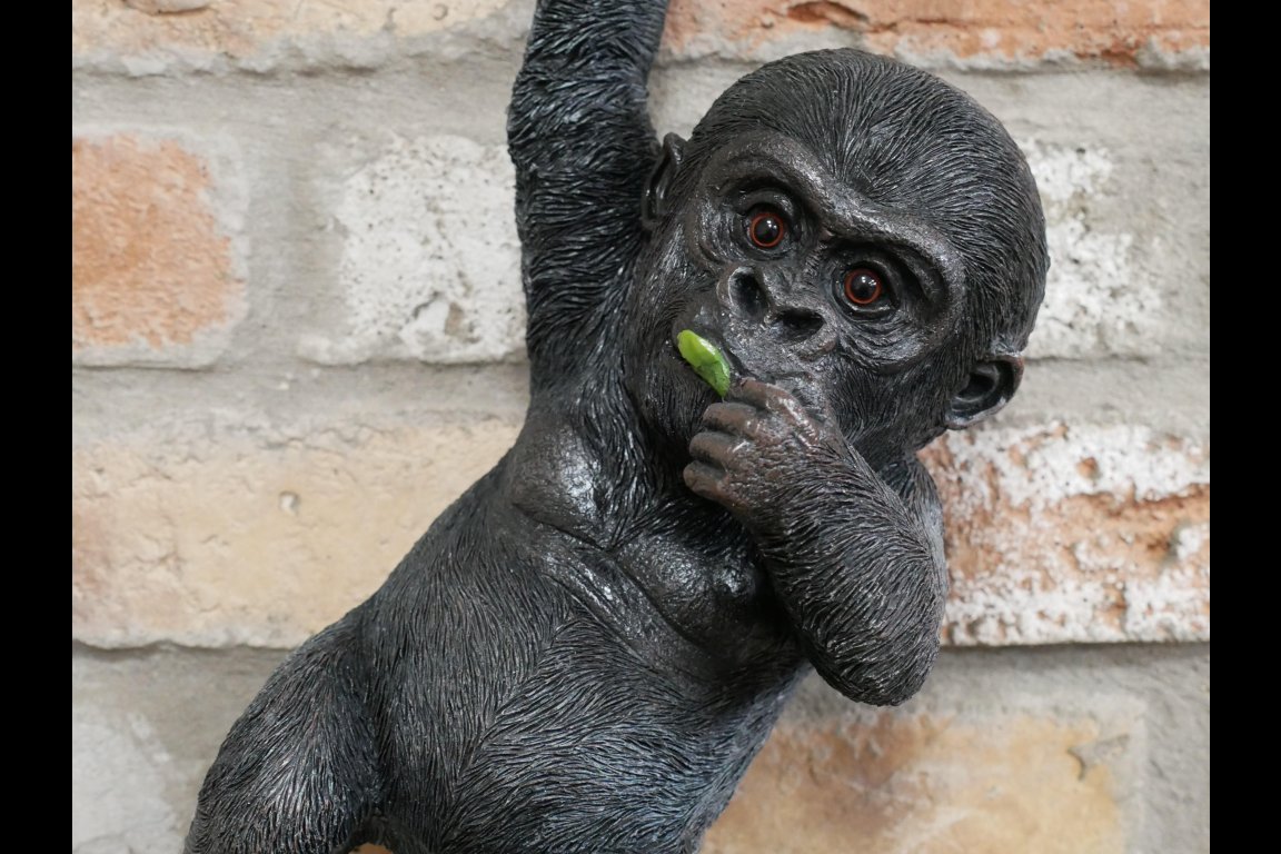 Hanging Baby Gorilla