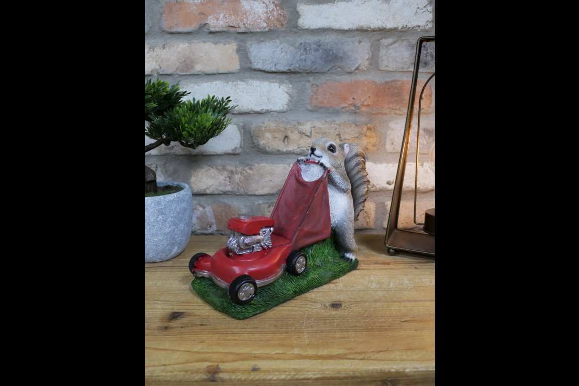 Squirrel Grasscutter