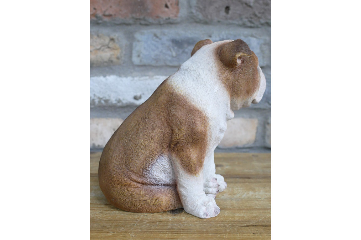 Bulldog