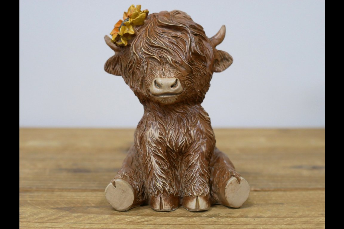 Sitting Highland Cow