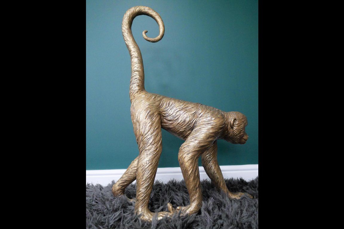 Monkey