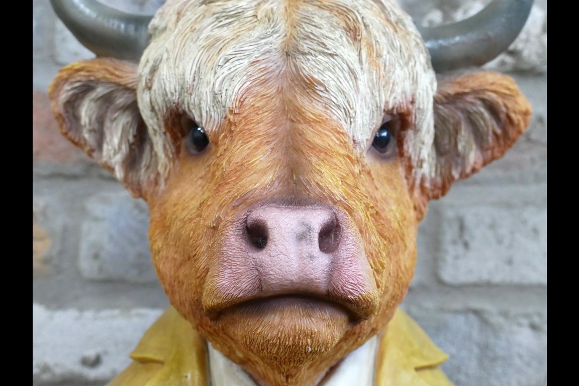Large Cow Bust