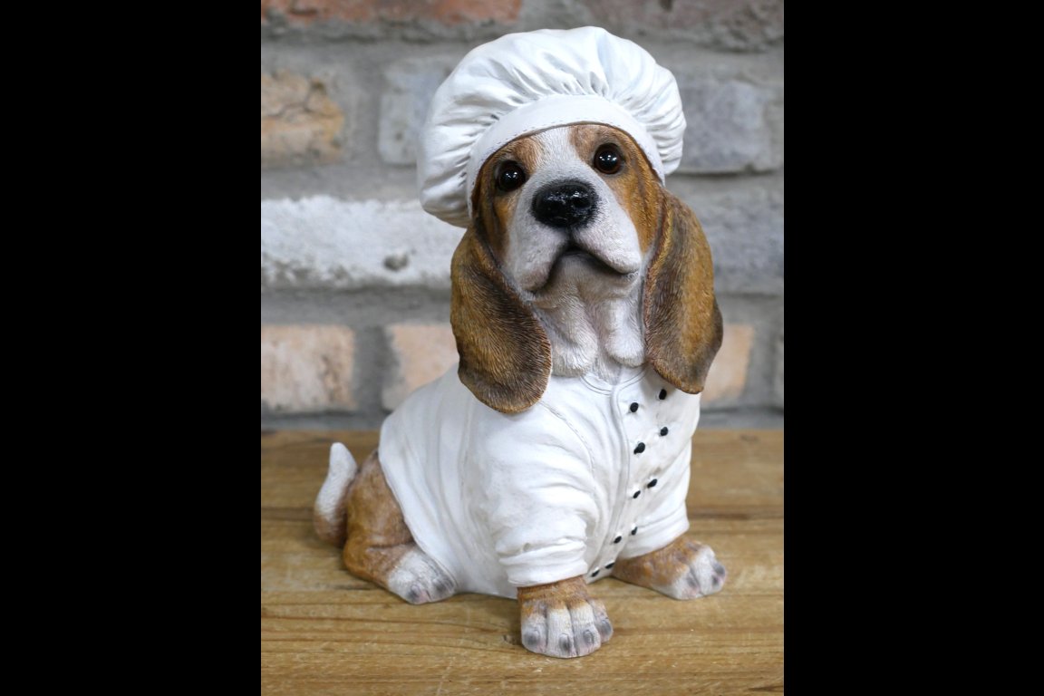 Dog Chef