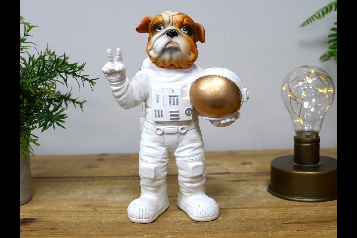 Elon Woof Spaceman