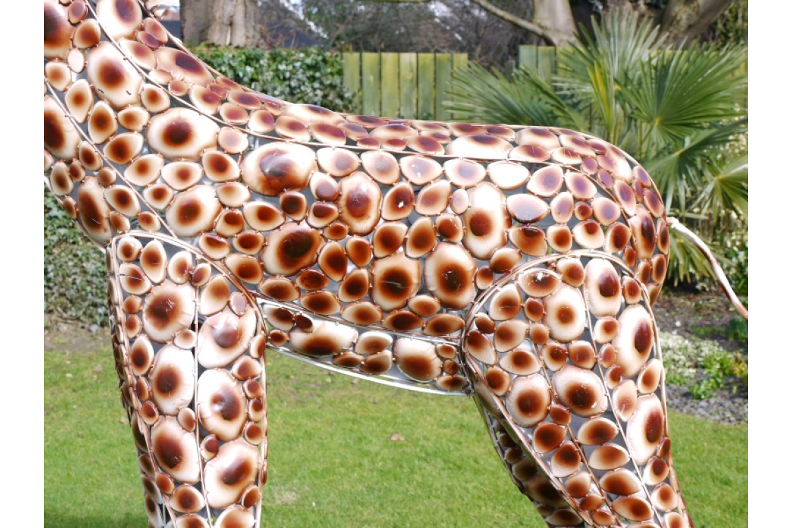 Giraffe Medium