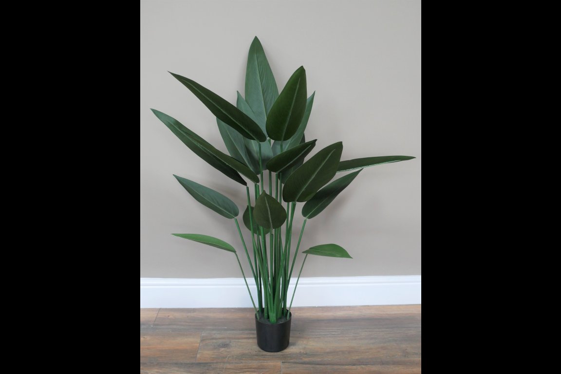 Artificial Canna