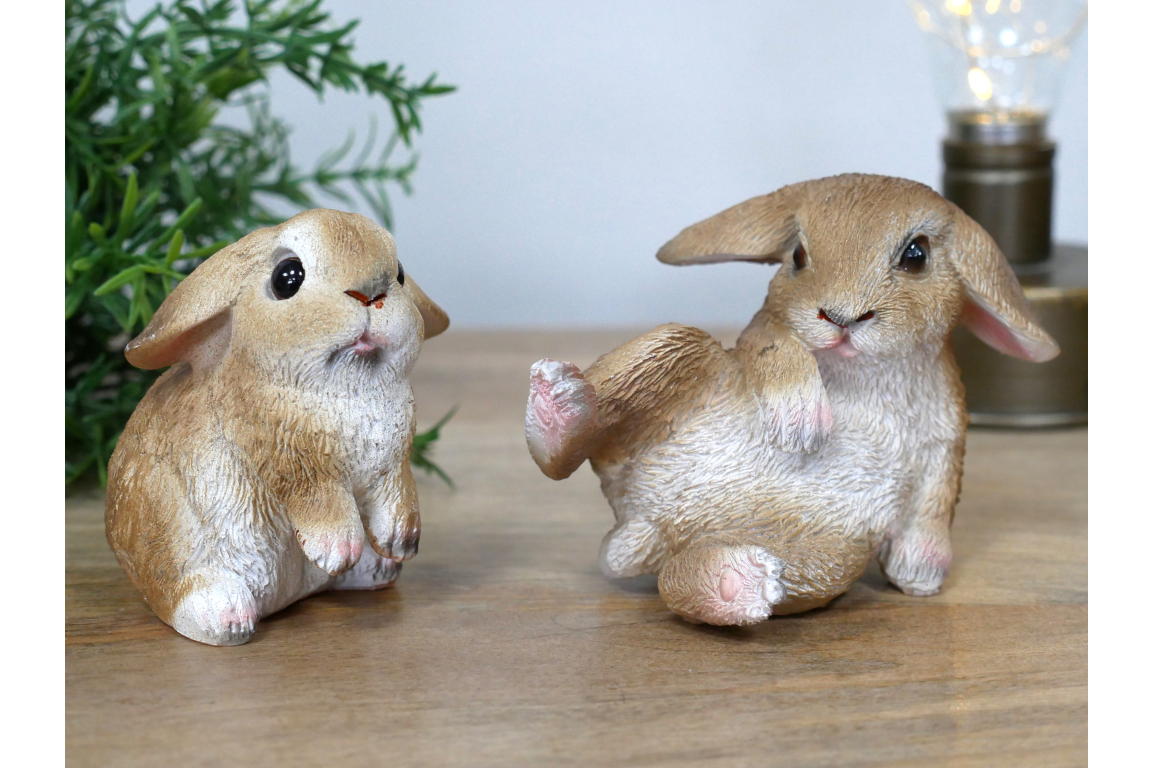 Mini Rabbits