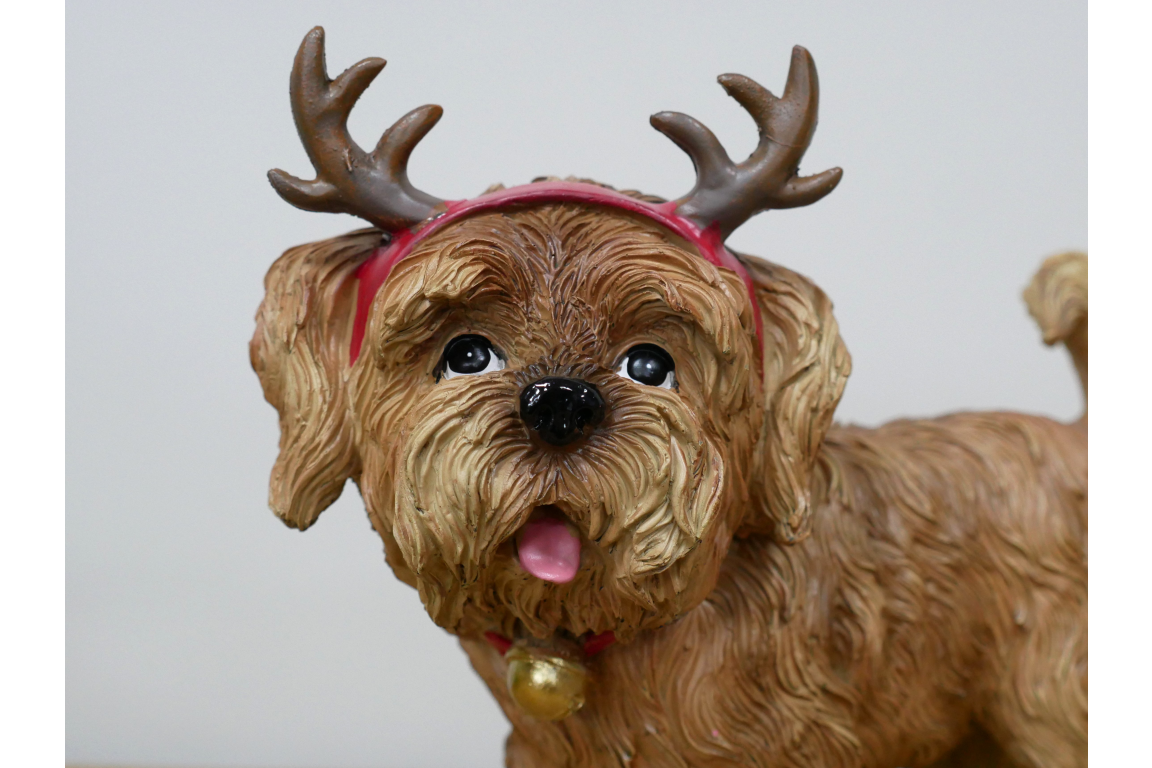 Dog With Antler Ears