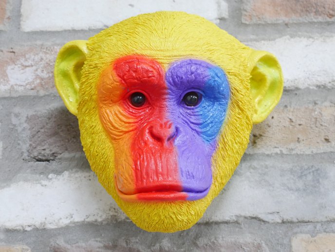 Rainbow Monkey Head