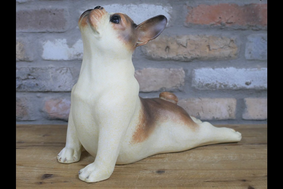 Stretching Dog