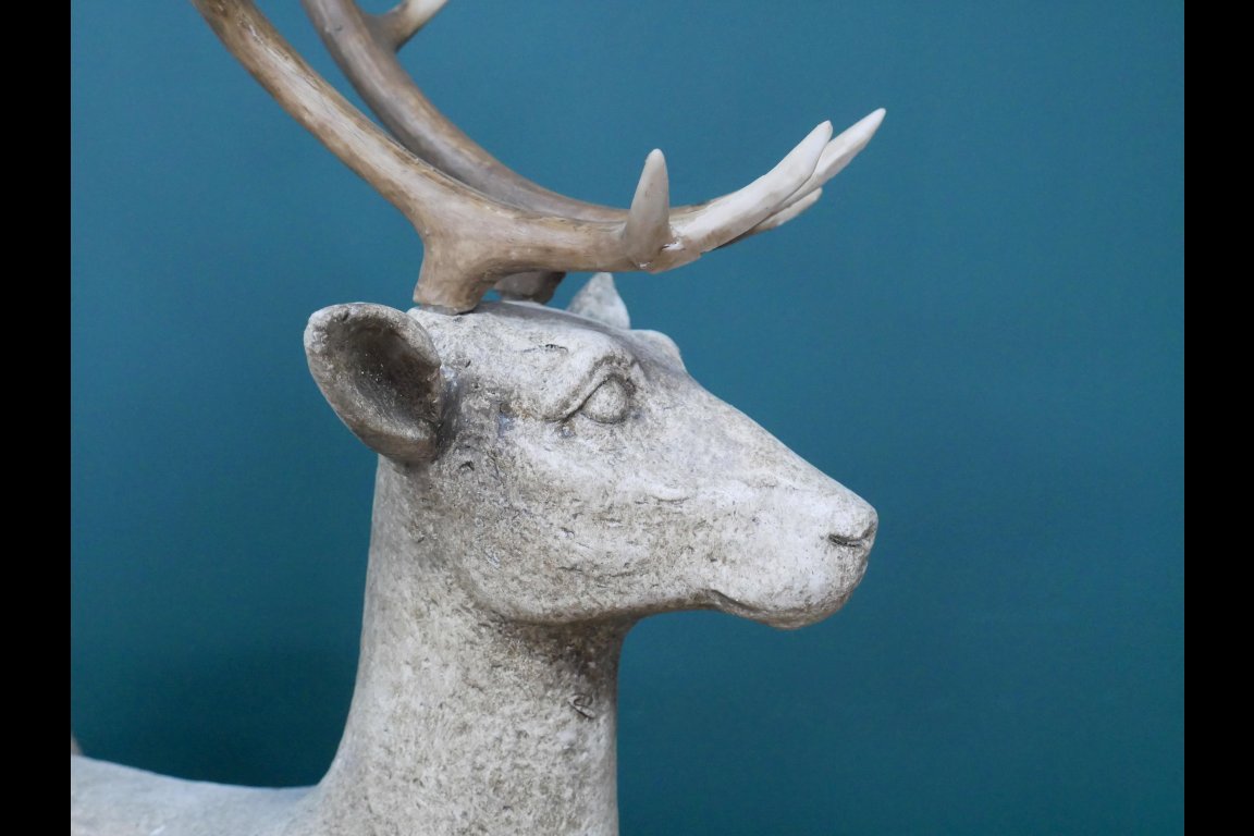 Deer