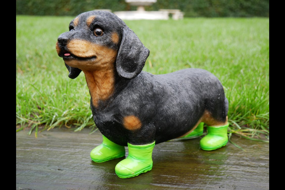 Dog In Boots