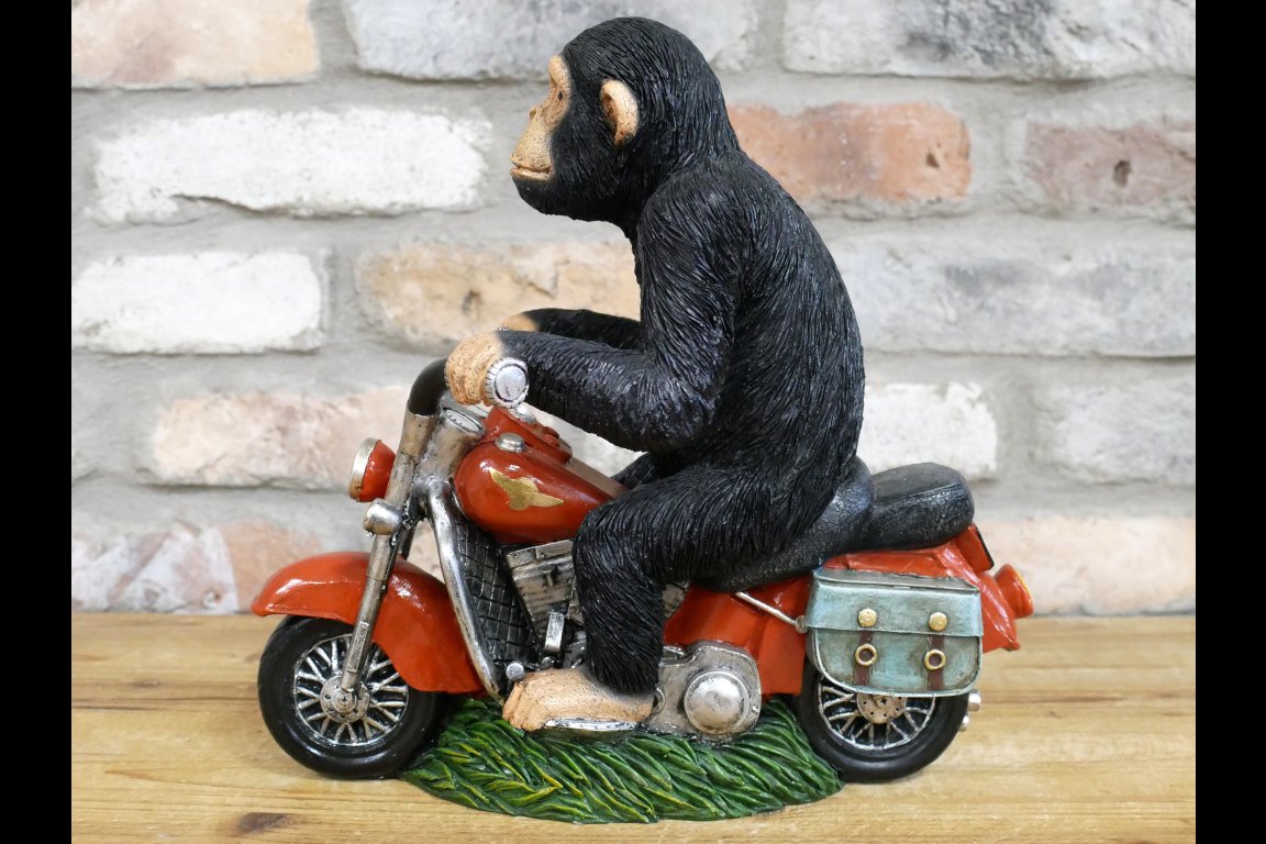 Monkey On Motorbike