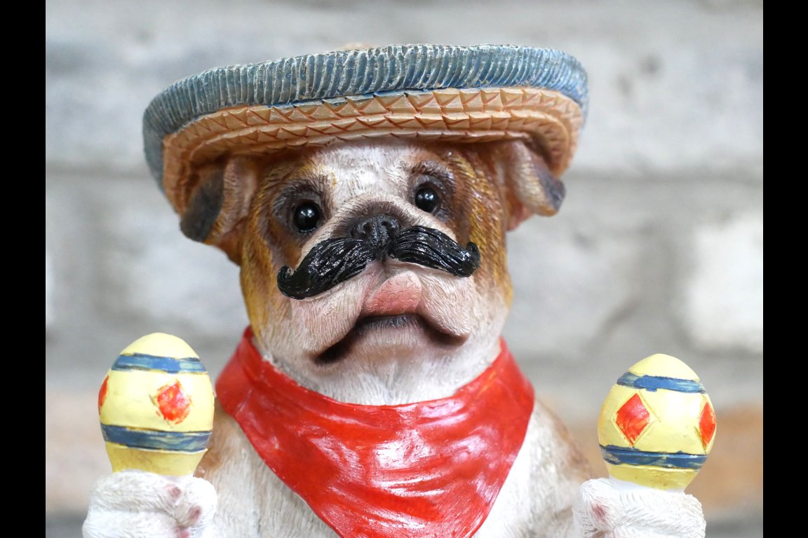 Mexican Bulldog