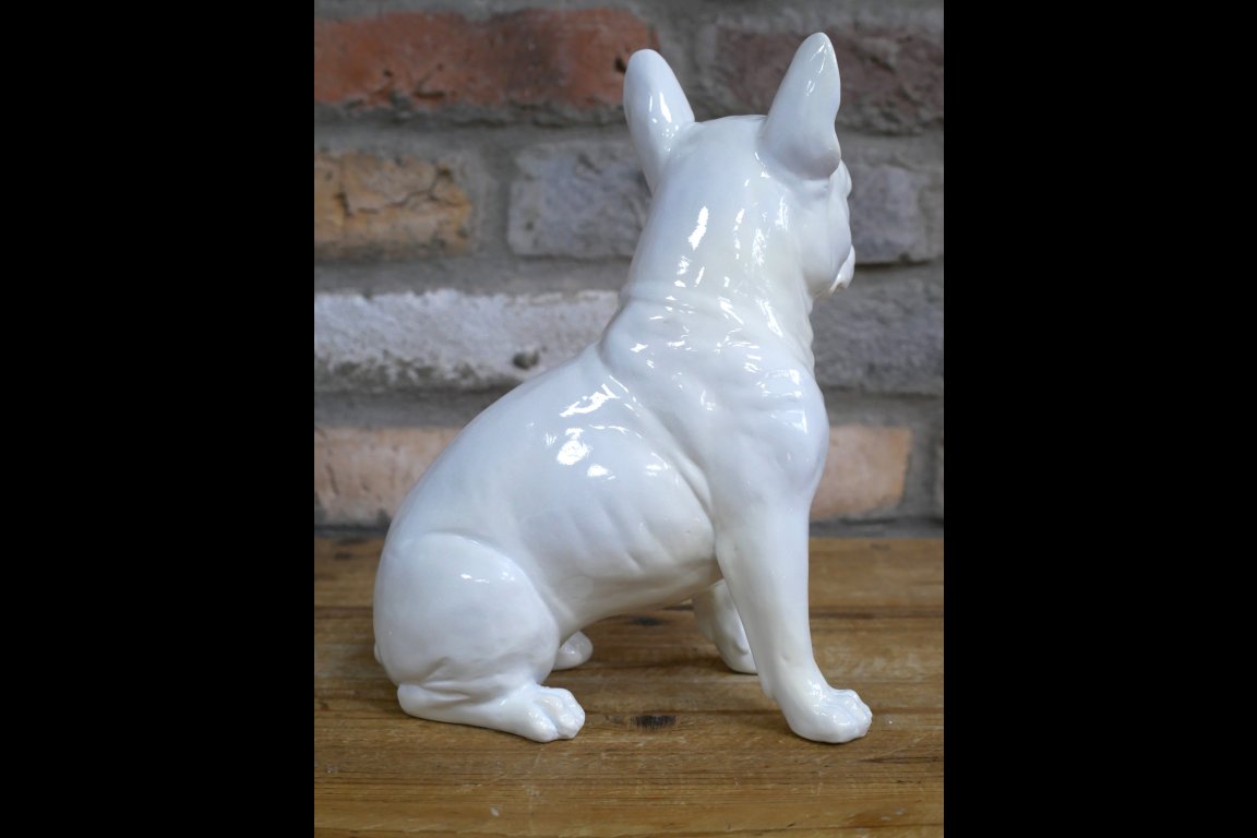 White Dog (Frenchie)