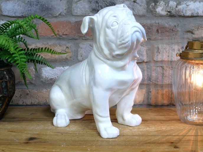 White Bulldog
