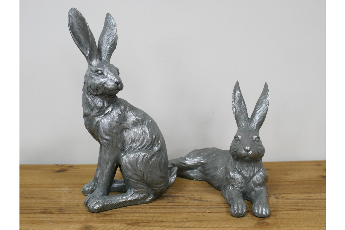 Laying Hare
