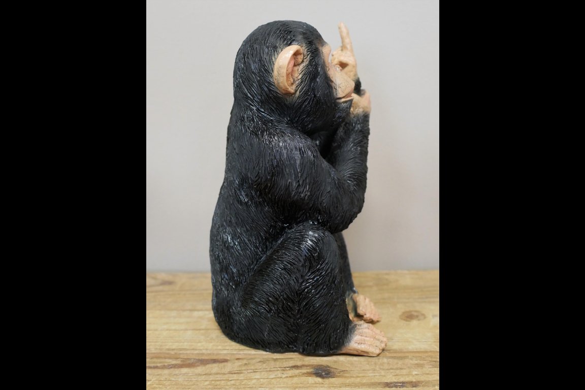 Up Yours Monkey - Medium