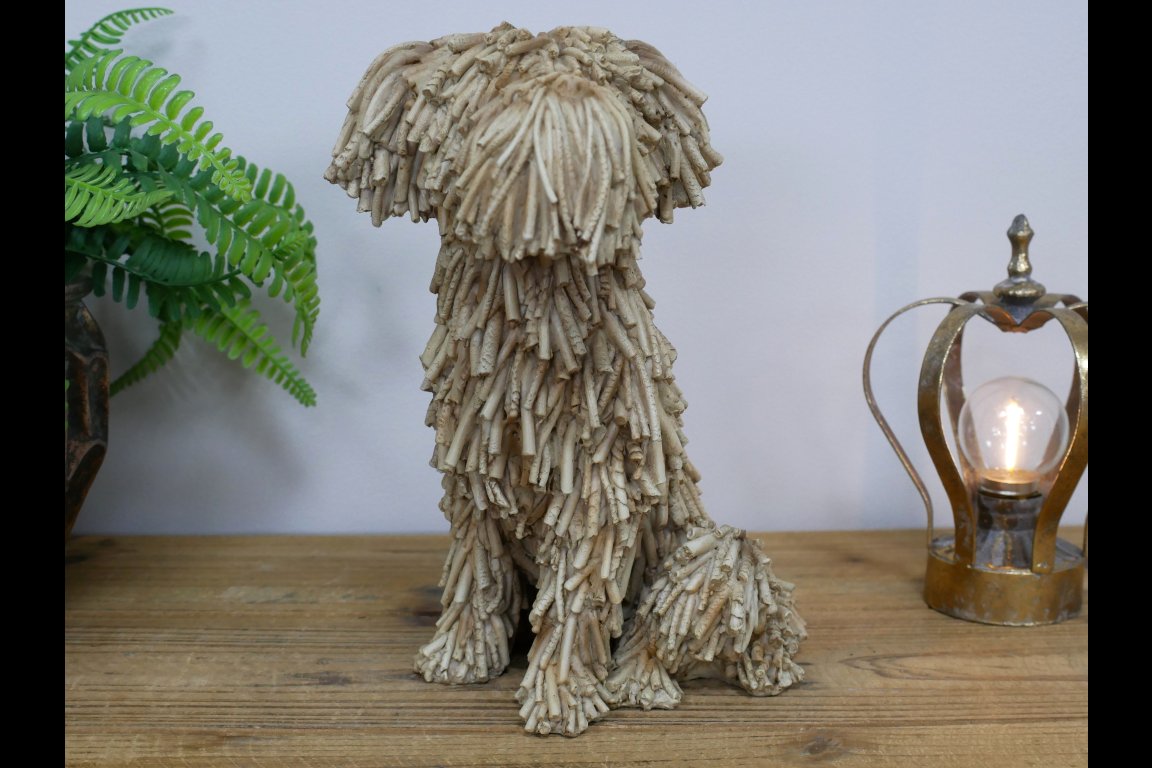 Sitting Shaggy Dog