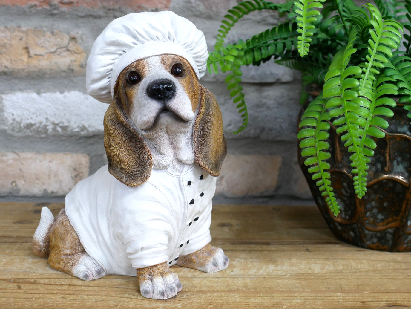 Dog Chef