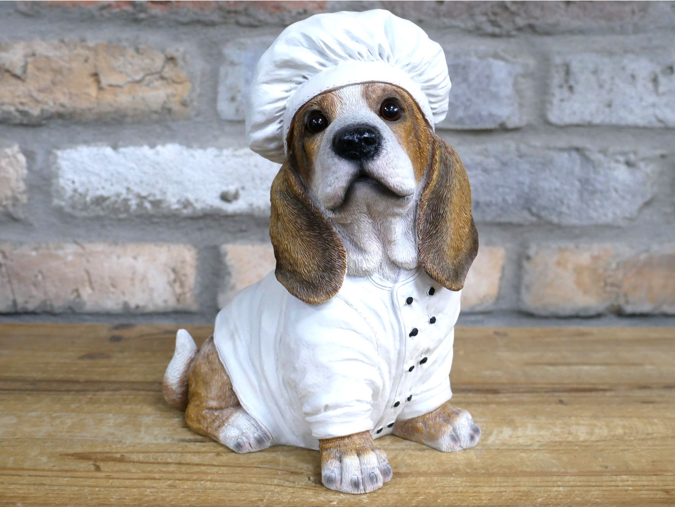 Dog Chef