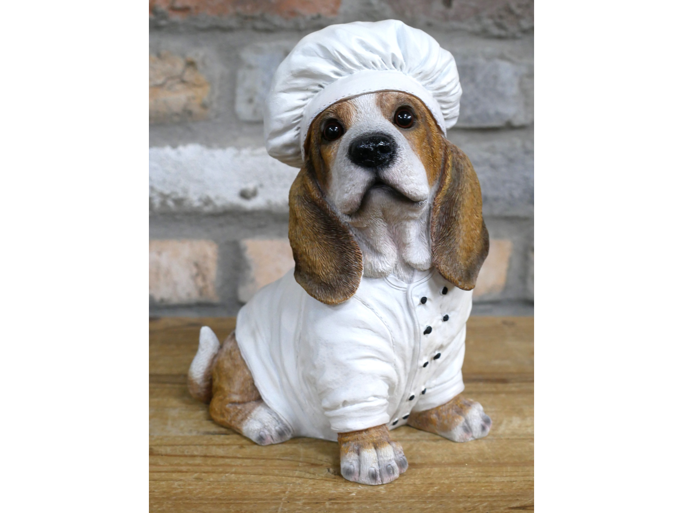 Dog Chef