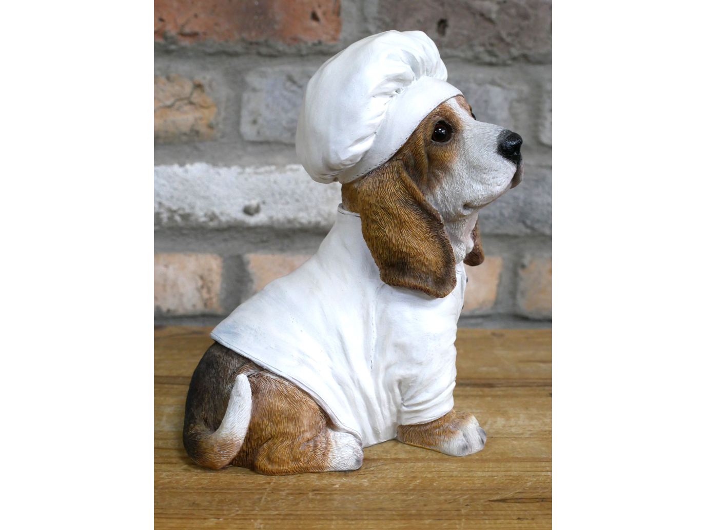 Dog Chef