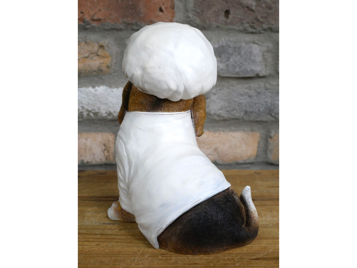 Dog Chef