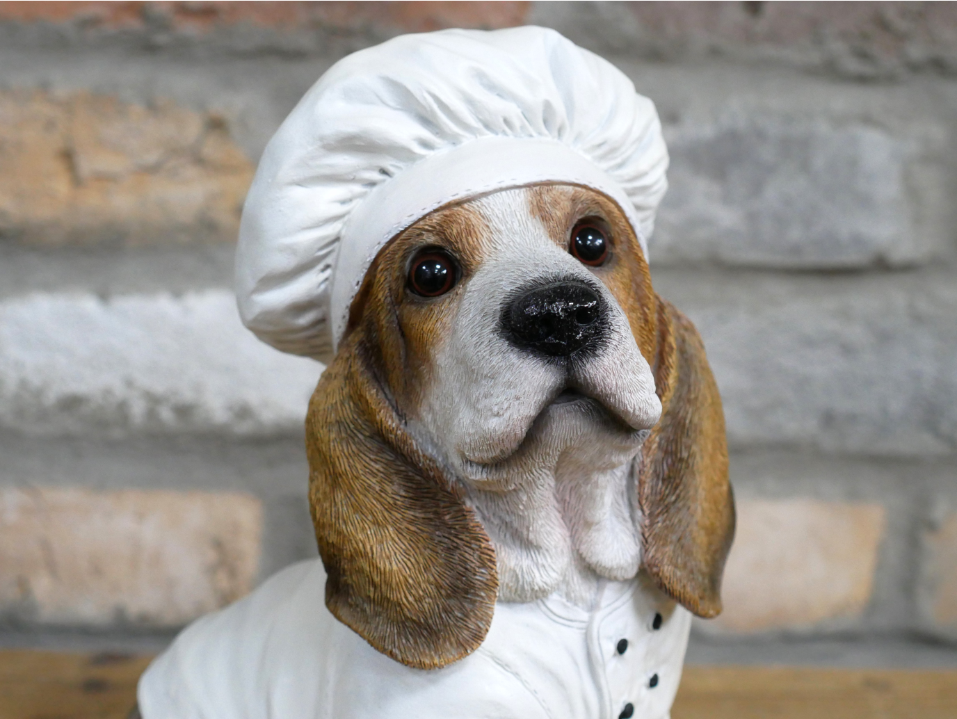 Dog Chef