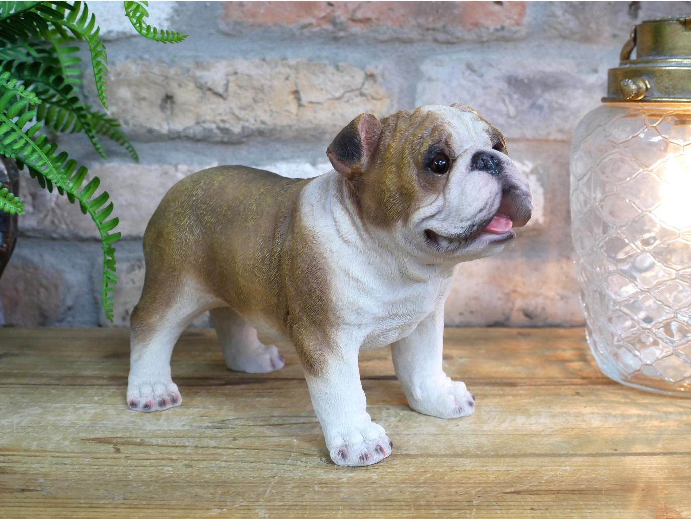 Bulldog